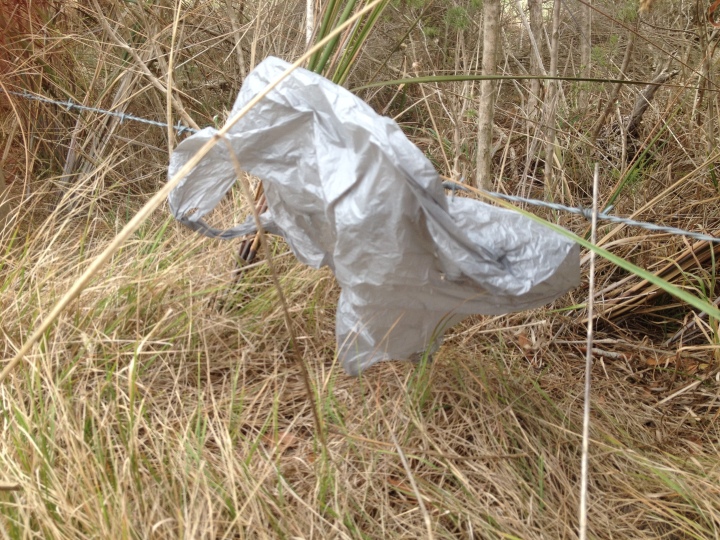 Single use plastic bags seem to have a knack for escaping disposal system. I see them often along roadsides and walking paths.