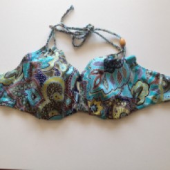 old-bra-to-new-bathers